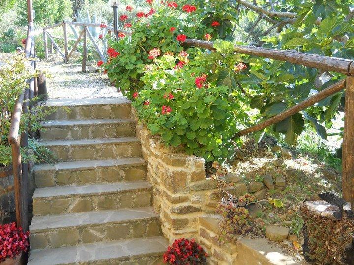 Casale San Martino Bed and Breakfast Laureana Cilento Exteriör bild