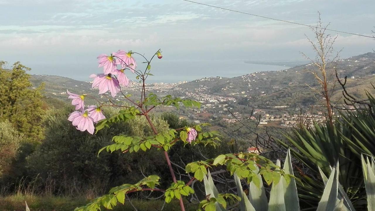 Casale San Martino Bed and Breakfast Laureana Cilento Exteriör bild