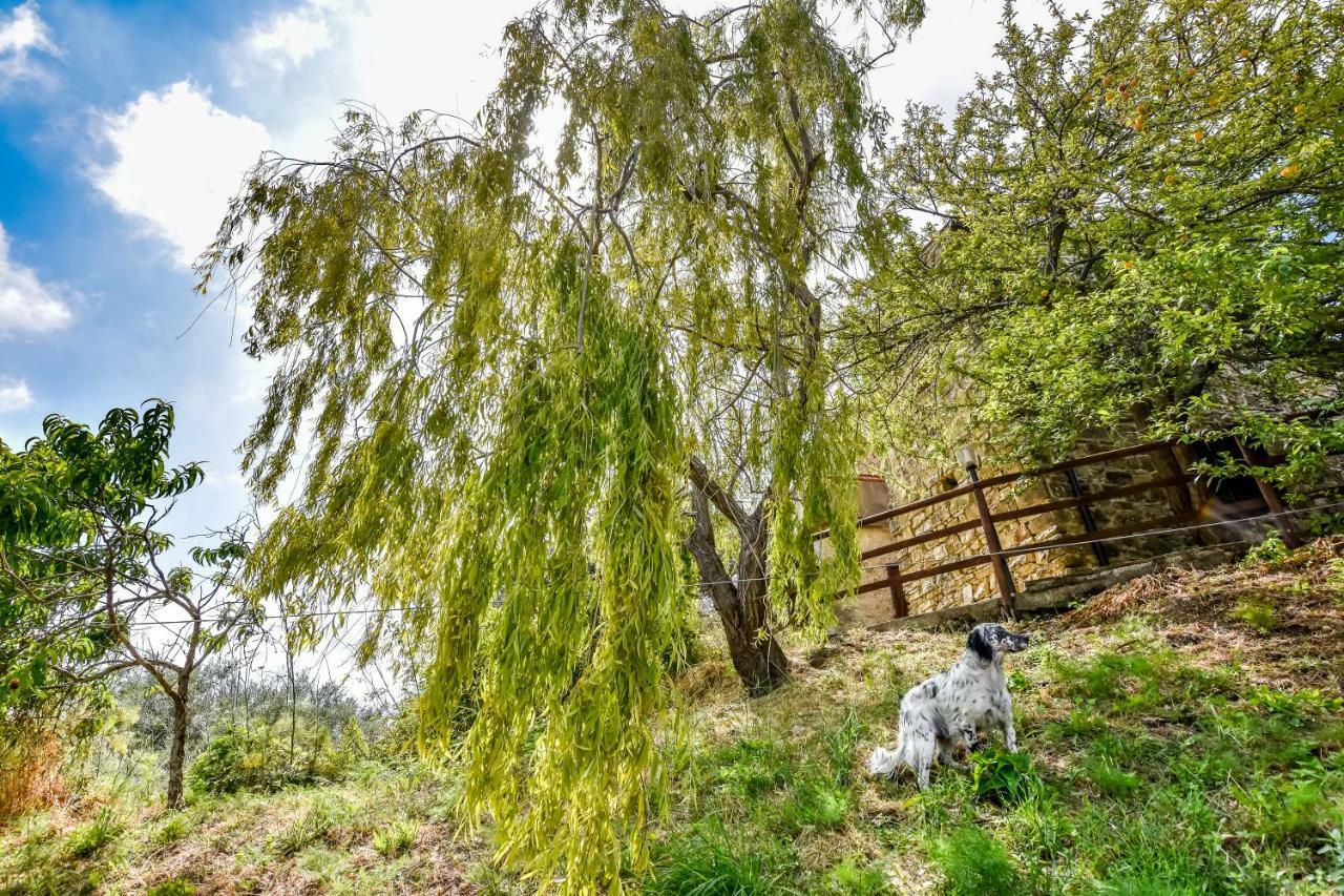 Casale San Martino Bed and Breakfast Laureana Cilento Exteriör bild