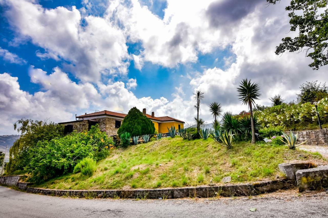 Casale San Martino Bed and Breakfast Laureana Cilento Exteriör bild